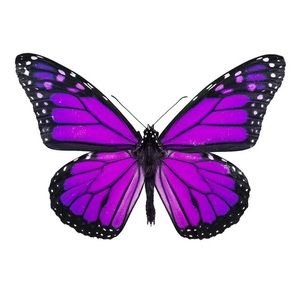 Meet your Posher, Sàlly